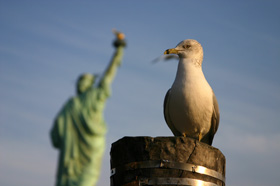 Liberty Island